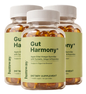 3 Jars of Gut Flow Gummies