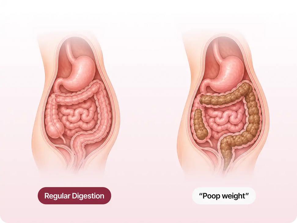 Before You Blame Your Belly, Look At What's Happening Inside It