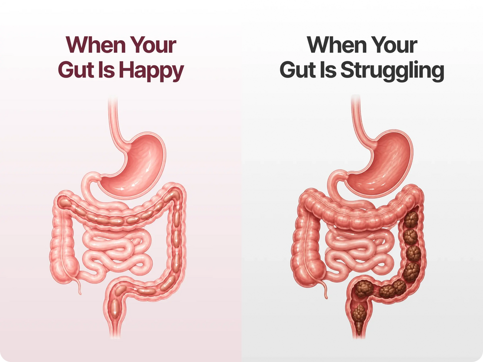 Your Gut Is Quietly Keeping Score