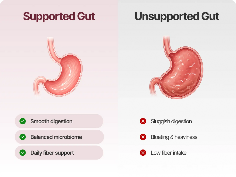 Support Your Gut Before It Starts Complaining