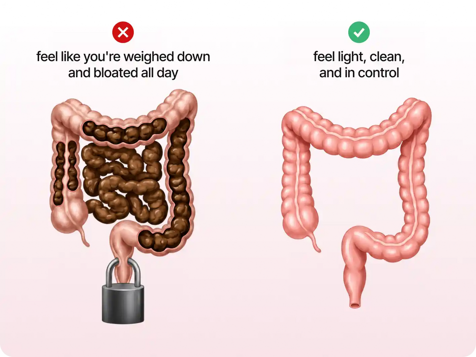 The Gut Is An Easy Piece To Overlook