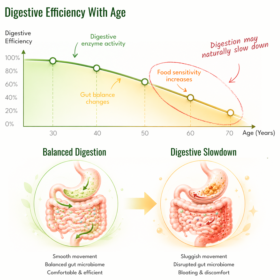 #1: Your Gut Balance May Be Changing