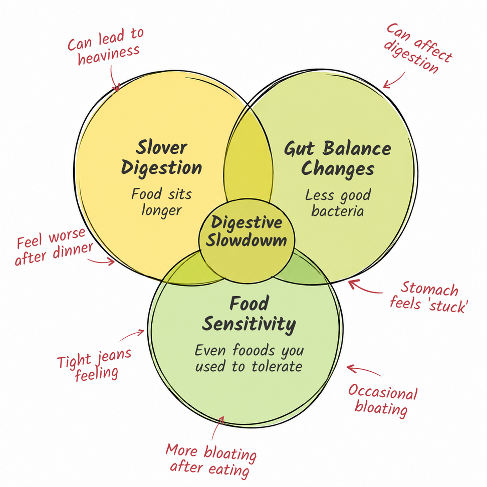 Digestive slowdown explained with a venn diagram