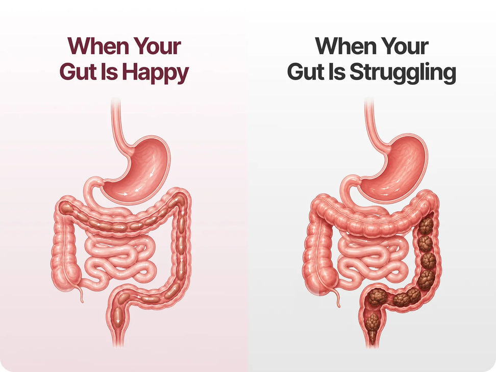 Why Restricting More Doesn’t Work